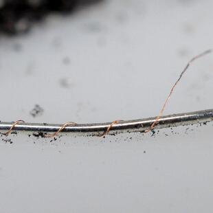 声韵黑色hifi发烧单晶银纳米保险丝CD胆机功放插座镀金音响保险管