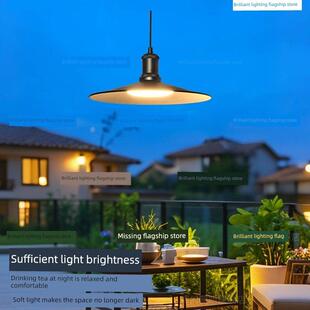 户外吊灯超亮防水阳台吸顶灯花园灯露台户外吸顶灯玻璃阳光房专用