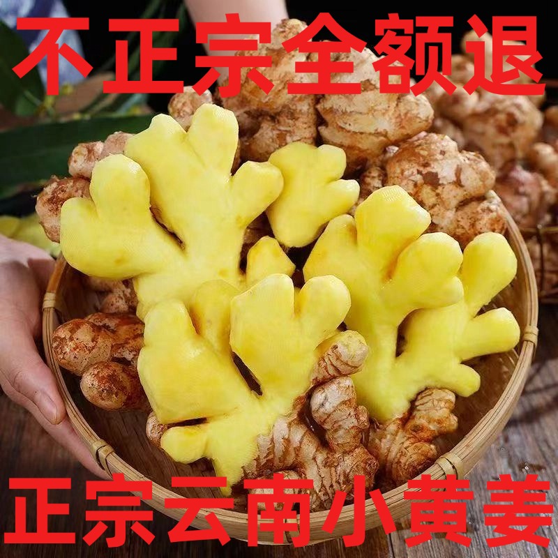 正宗云南小黄姜旗舰店新鲜生姜老姜现挖姜嫩姜鲜姜嫩罗平土姜蔬菜