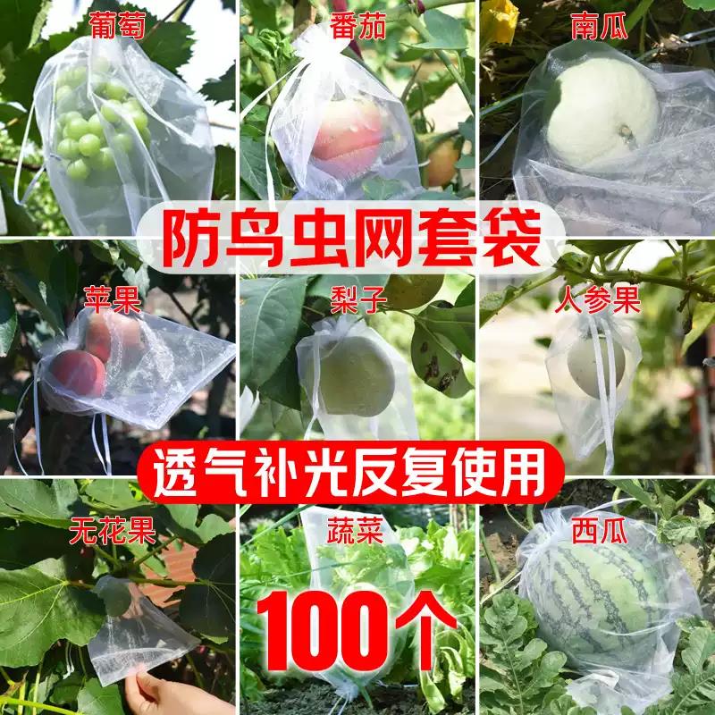 水果套袋防鸟网纱袋防虫专用袋枇杷葡萄桃子草莓保护袋耐用种植