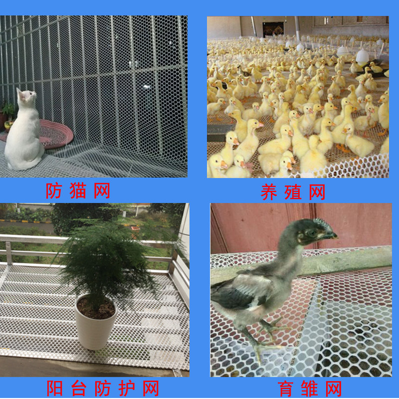 塑料网养殖网整卷养鸡养鸭鹅床养蜂育雏网床小鸡漏粪脚垫防逃胶网