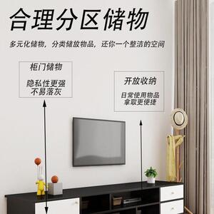 新款直销电视柜客厅家用小户型级感落地简易现简约新款出租屋电视
