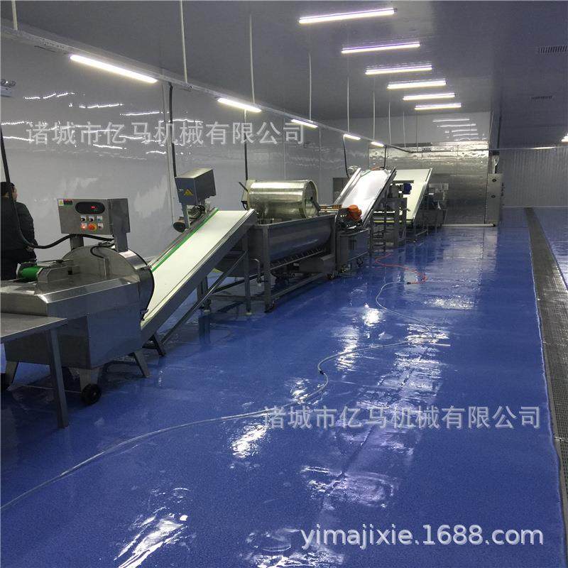 橘子清洗深加工设备 芹菜涡流净菜清洗厂家 野菜清洗加工生产线,清洗/食品/商业设备,果蔬加工设备,淘宝优惠券,粉丝福利购,淘宝优惠卷