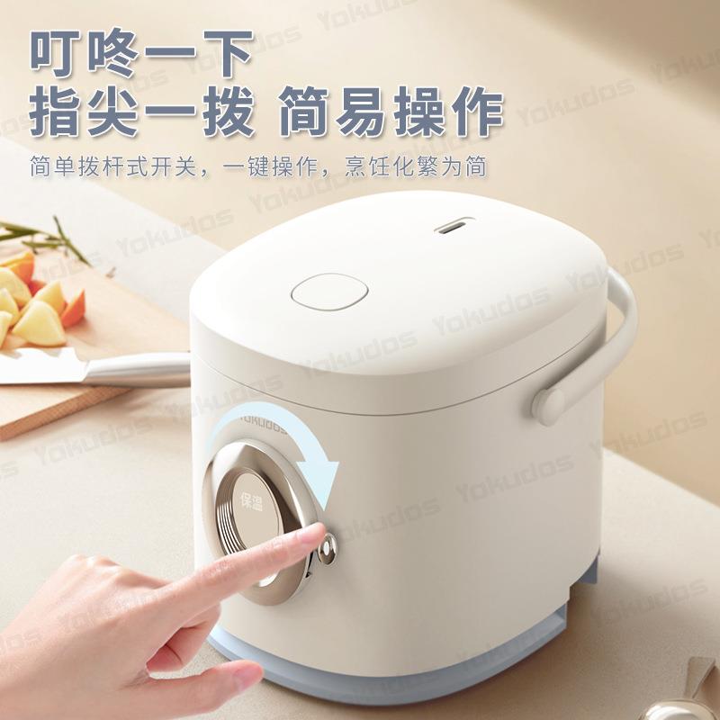 直销新款新款迷你电饭煲1-2人小型电饭锅家用多功能电器家电礼品