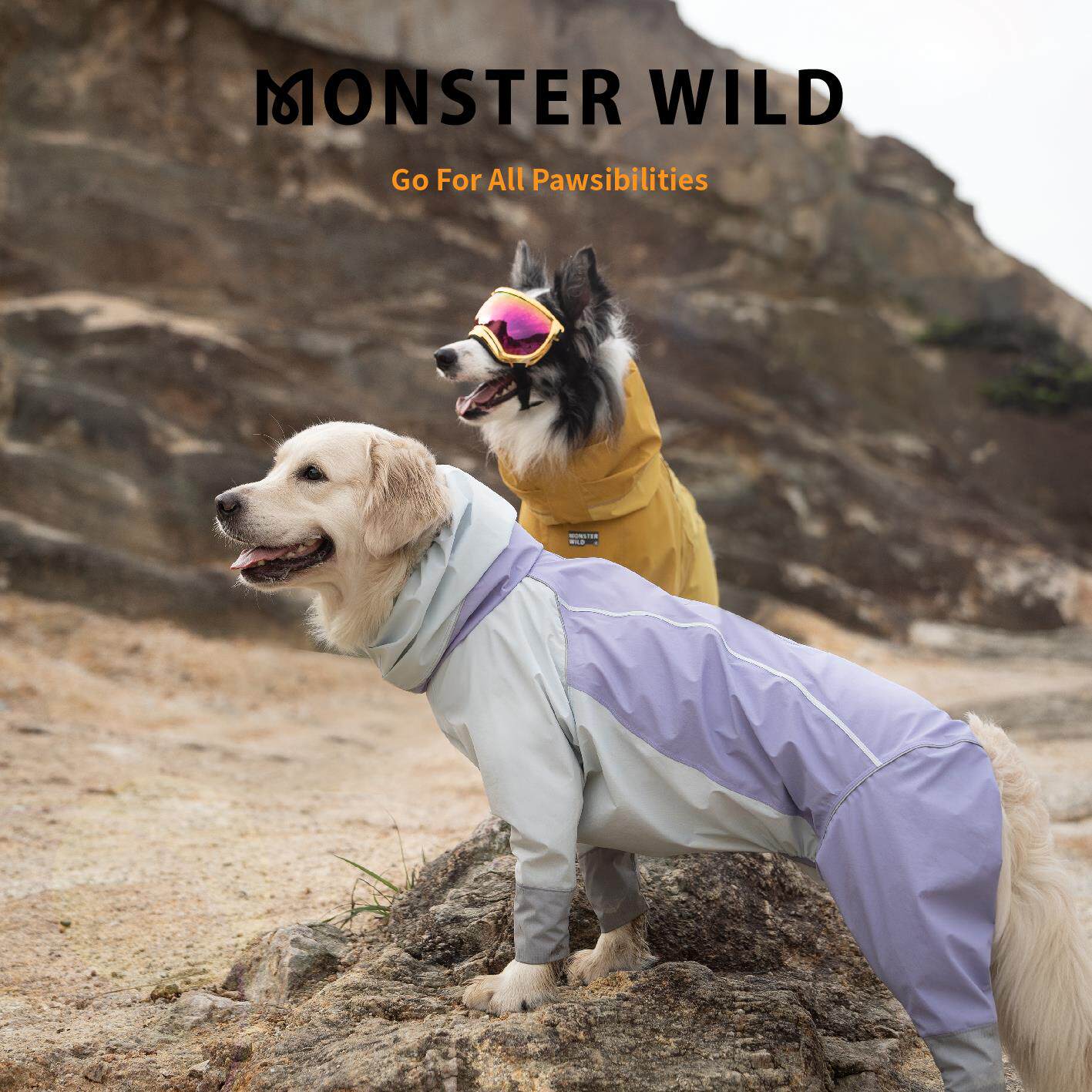 MONSTER WILD Beta多系列功能防护服狗狗冲锋雨衣边牧金毛