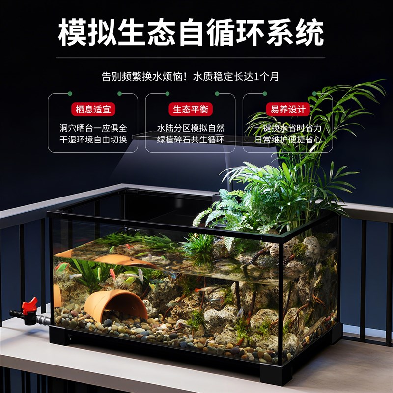 鱼缸造景全套生态造景家用玻璃缸小型造景水陆两用鱼龟混养专用缸图片