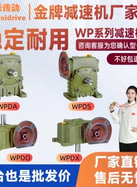 WPDA/WPDS/WPDZ/WPDO/WPDX50 60 70 80 100 120蜗轮蜗杆减速机