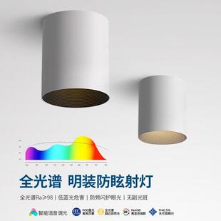 小山丘led射灯防眩家用客厅无副光斑圆形吸顶明装 全光谱明装 筒灯