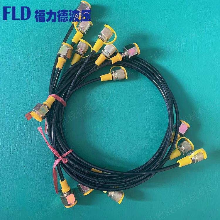 HFG1-G2-3-P-0.5 HFP2-P2-3-P-6 HFH2-P2-3-P-0.5测压软管配接头