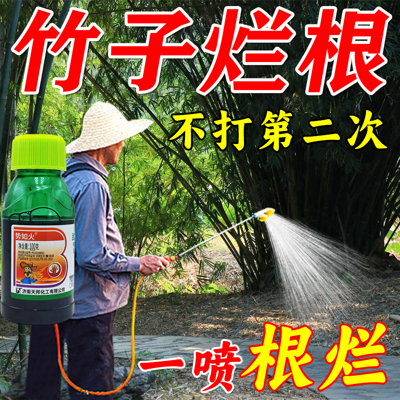 竹子烂根专用药灭竹子腐烂药