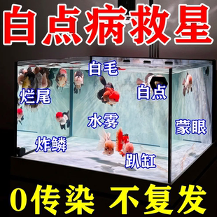 【鱼病全消】鱼康宝专用鱼药烂身烂尾白点白毛掉鳞消炎杀菌消毒液