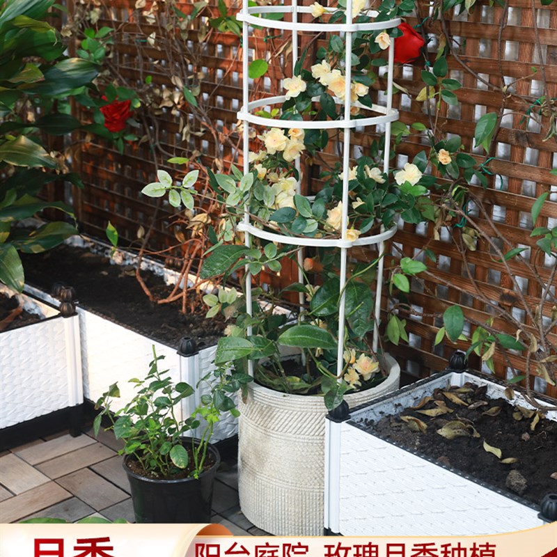 花卉花架爬藤架月季铁线莲支撑固定支架支柱盆栽植物攀爬架花支架