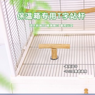 洪屿鹦鹉野梨木站杆保温箱用站杆T字鸟站杆磨嘴磨爪啃咬解闷自嗨