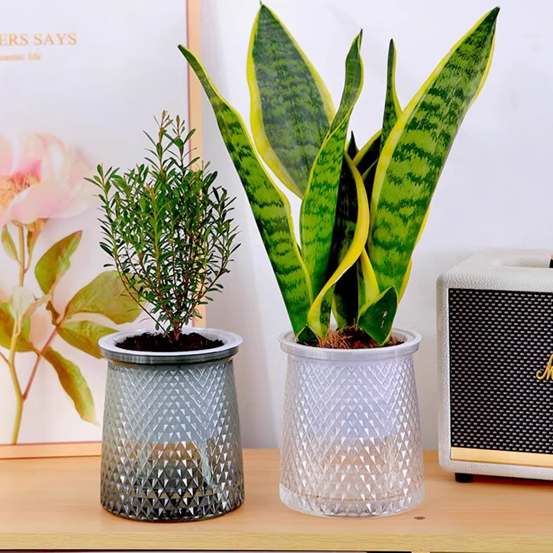 家用塑料水培透明盆花盆桌面