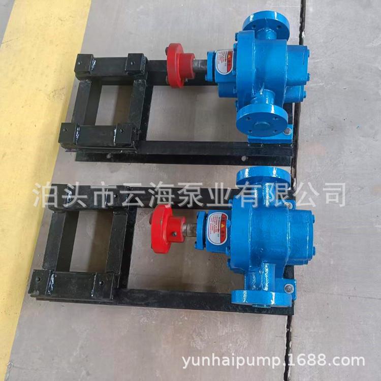 厂家供应不锈钢沥青泵耐高温高粘度介质高扬程转子泵电动齿轮泵