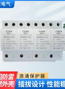 厂家供应一级浪涌保护器白色防雷避雷器智能4p电涌保护器