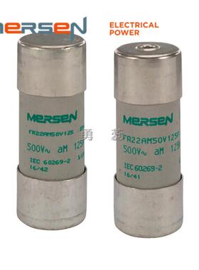 保险丝熔断器FR22AM69V63FR22AM69V80FR22AM69V100