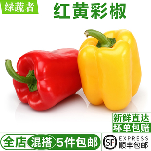 红黄彩椒450g 新鲜灯笼椒 圆椒 甜辣椒农家时令蔬菜沙拉食材