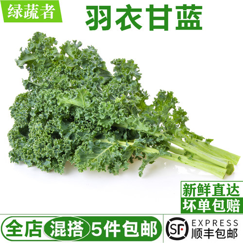 新鲜的羽衣甘蓝蔬菜发顺丰快递