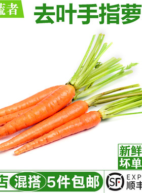 去叶手指胡萝卜500g 迷你小水果胡萝卜 生吃新鲜蔬菜西餐沙拉食材