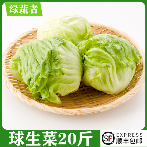 新鲜球生菜20斤汉堡沙拉用蔬菜