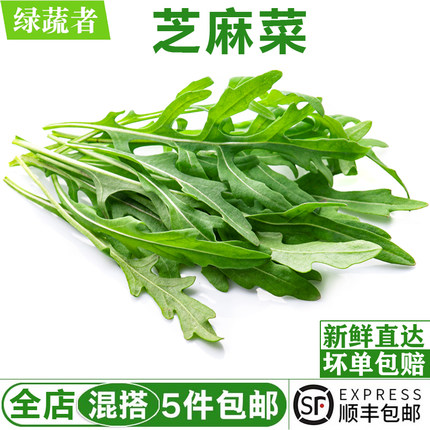 新鲜芝麻菜500g 火箭菜 新鲜蔬菜沙拉食材生菜 西餐轻食色拉菜