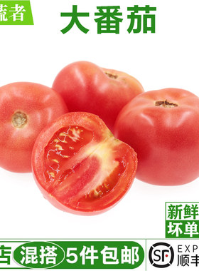 新鲜大番茄500g 大西红柿农家自种新鲜蔬菜水果自然熟 满5件包邮