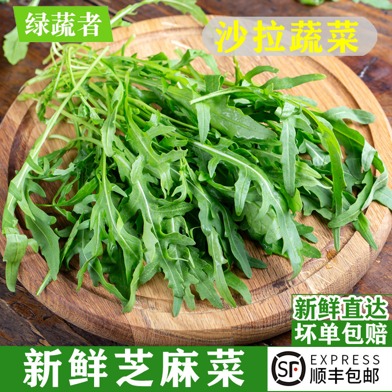 新鲜芝麻菜500g 蔬菜沙拉食材生菜 西餐健身轻食沙拉蔬菜火箭菜