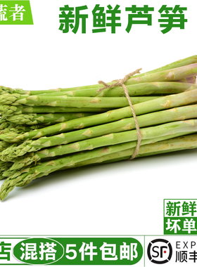 新鲜芦笋500g 嫩绿芦笋青细芦笋龙须菜新鲜当季农家蔬菜去白根