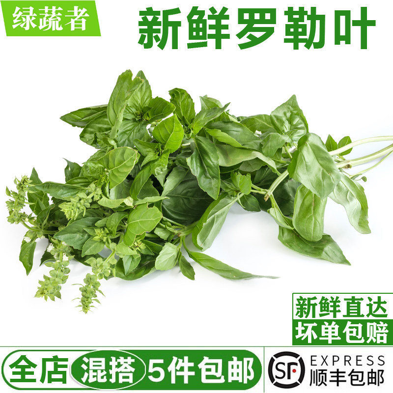 新鲜罗勒叶250g 食用罗勒欧罗西餐披萨意大利面青酱调料香料配菜