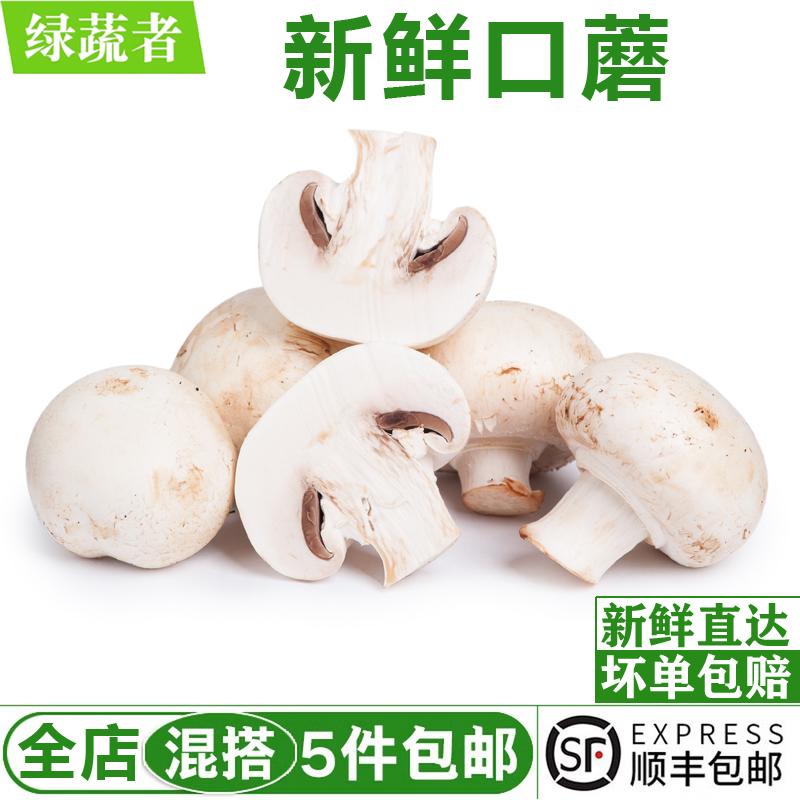 新鲜口蘑菇500g 现摘白蘑菇食用菌菇双孢菇煲汤火锅炒菜时令蔬菜