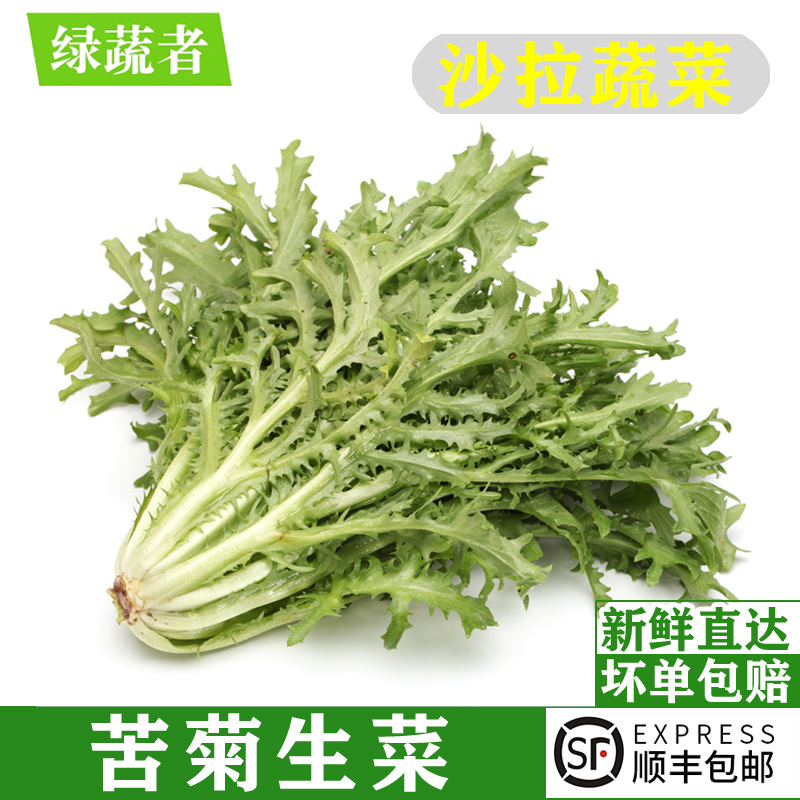 新鲜苦菊1-5斤西餐蔬菜