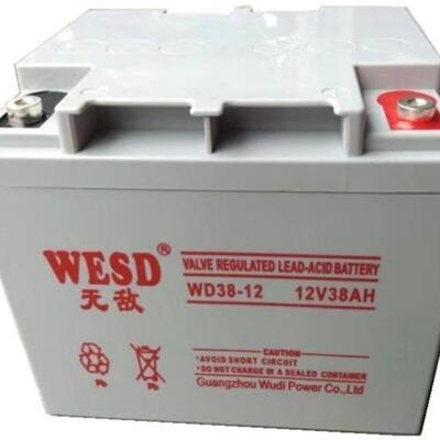 WESD无敌蓄电池WD24-12/12V24Ah38Ah40Ah55Ah65A100A应急备用电源
