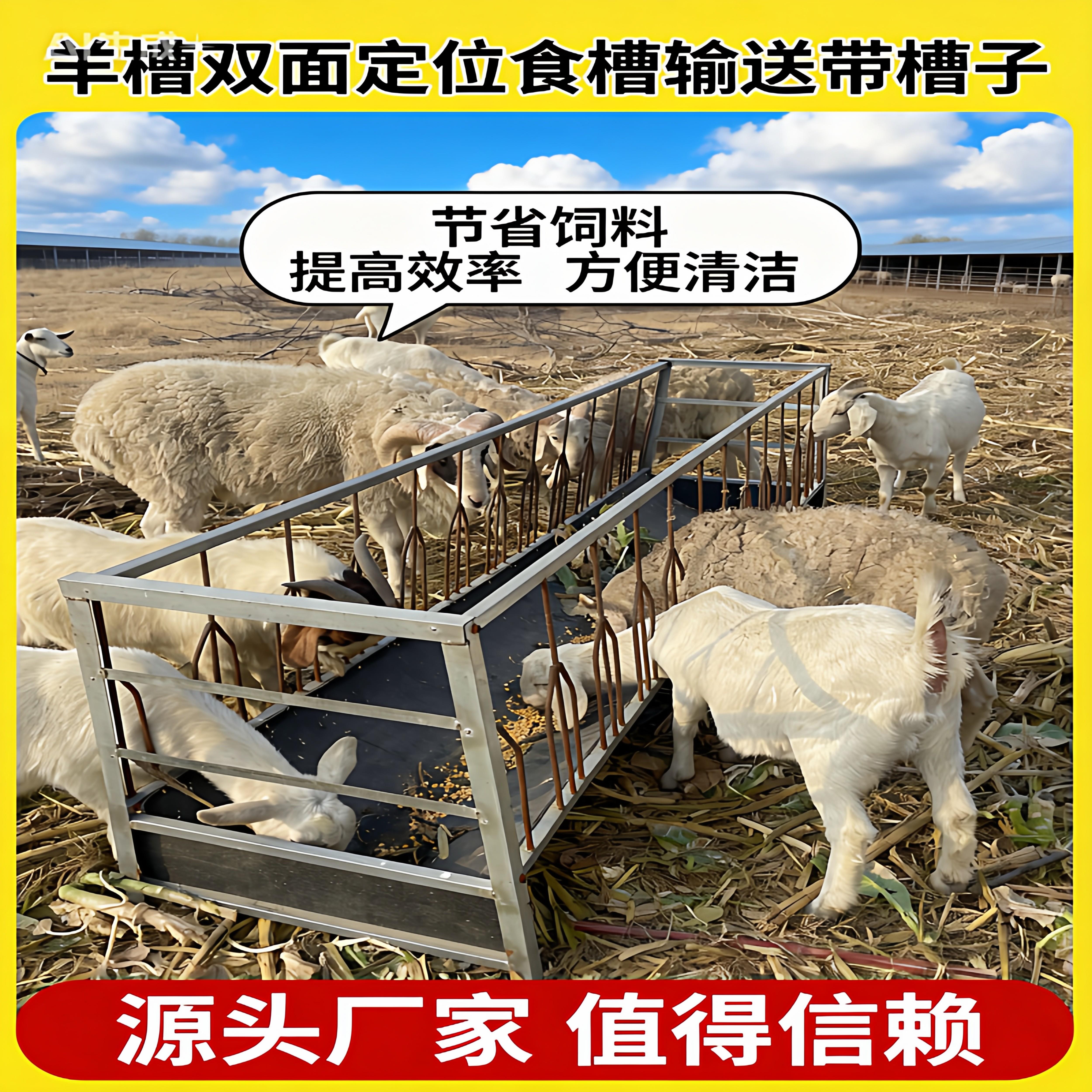 新款定位栏双面羊槽子一羊一位防止羊抢食养殖专用羊料槽厂家直销
