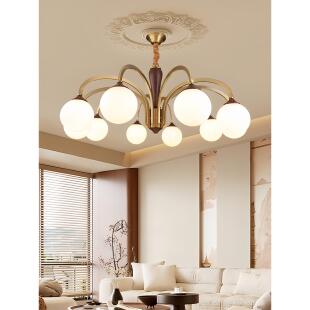 全国有色人种协进会