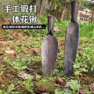 手工锻打园艺铲花锹柳叶锹挖蒜挖野菜铲锹折耳根铲子加厚尖头铲
