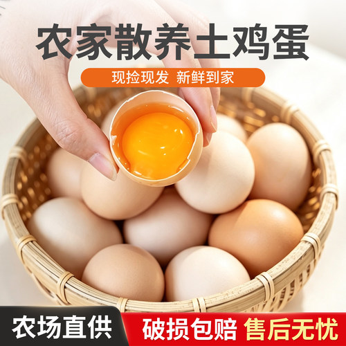 农场直供农家散养新鲜土鸡蛋