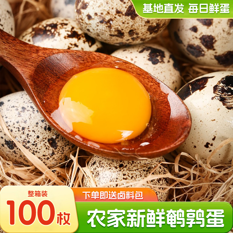 新鲜鹌鹑蛋100枚杂粮喂养