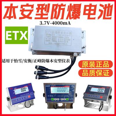 SNOW怡雪安衡本安型防爆电子秤称重仪表电3.7V充电器ETX防爆电池