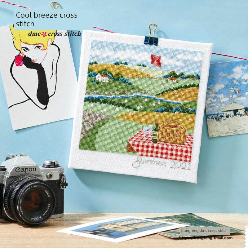 凉风Dmc线十字绣套件新挂画装饰画F1157夏日野餐印花