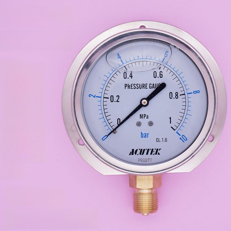 ACUTEK 径向带后边 抗震 船用耐震压力表 YN100T 1MPA M20*1.5