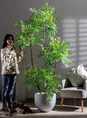大型南天竹彷真绿色植物盆栽装饰室内客厅摆件彷生植物商场假树造