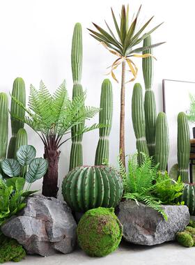 模拟鳞片仙人掌盆栽热带植物风景彷生绿色植物仙人掌地板站立装饰