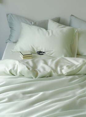 ins简约60支天丝凉感丝滑莱赛x尔纤维夏日四件套1.5m1.8米床单被