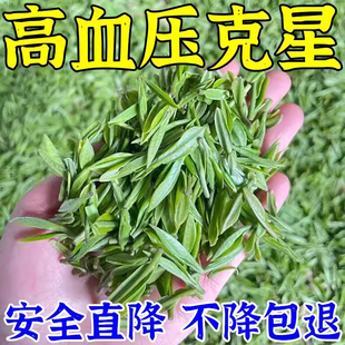 罗布麻降压茶血压克星杜仲糖脂三高龙诞正品降甘油三酯