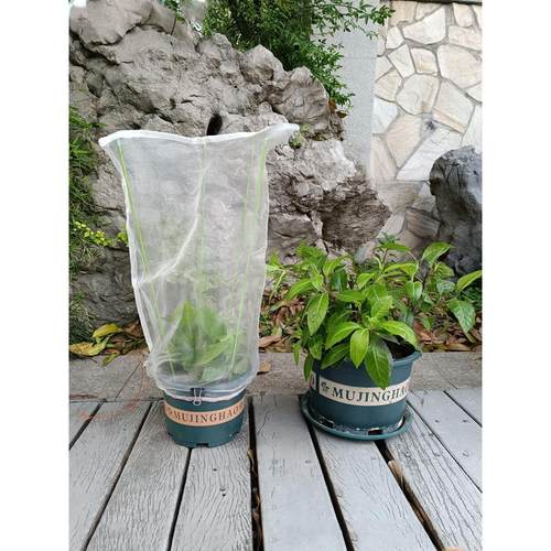 花盆保护罩防猫 花盆网罩 植物保护罩 防鸟罩 盆栽防虫网罩种菜卉
