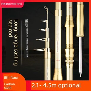 明伦狼王金属狼王海竿远距离抛鱼竿套装手海两用鱼竿鱼盘海钓海竿
