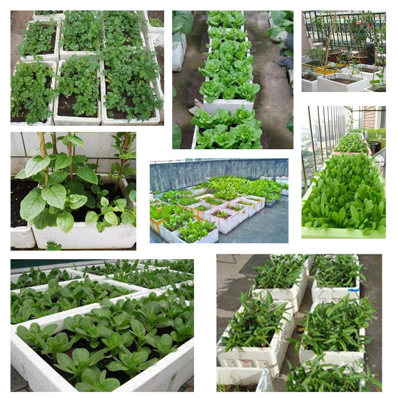 超大泡沫箱加厚快递商用摆摊水果种植冷冻冷藏种菜保温箱