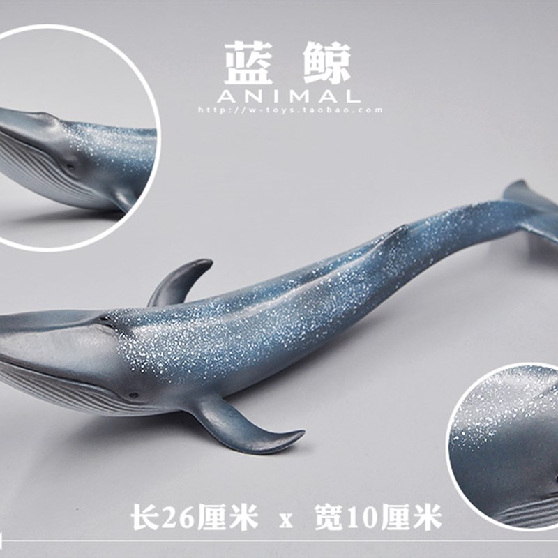 海洋动物玩具模型 蓝鲸