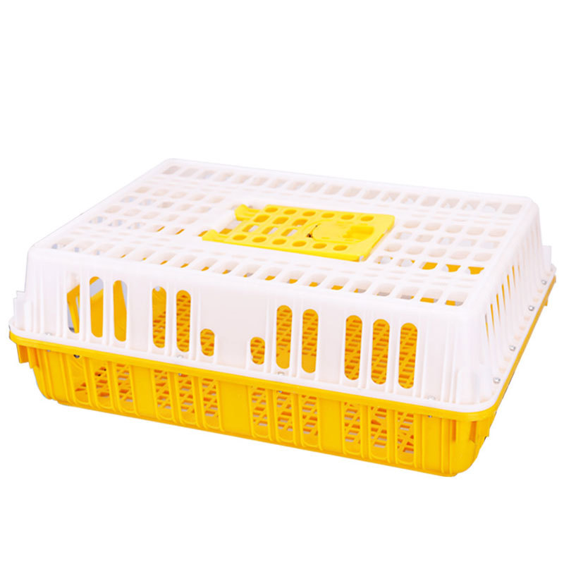 新品塑料鸡笼运输筐周转加厚加强型特大成鸡鸭笼鸽笼鹅箱家用运输